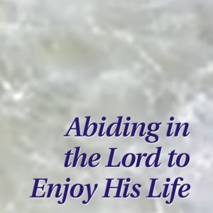 Abiding in the Lord to Enjoy His Life