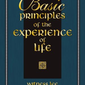 Basic Principles of the Experience of Life