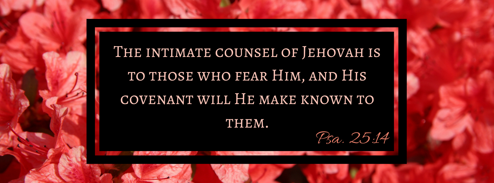 TBR EP15- The Highest Expression of Grace