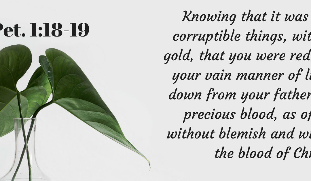 TBR 21- The Blood of Christ
