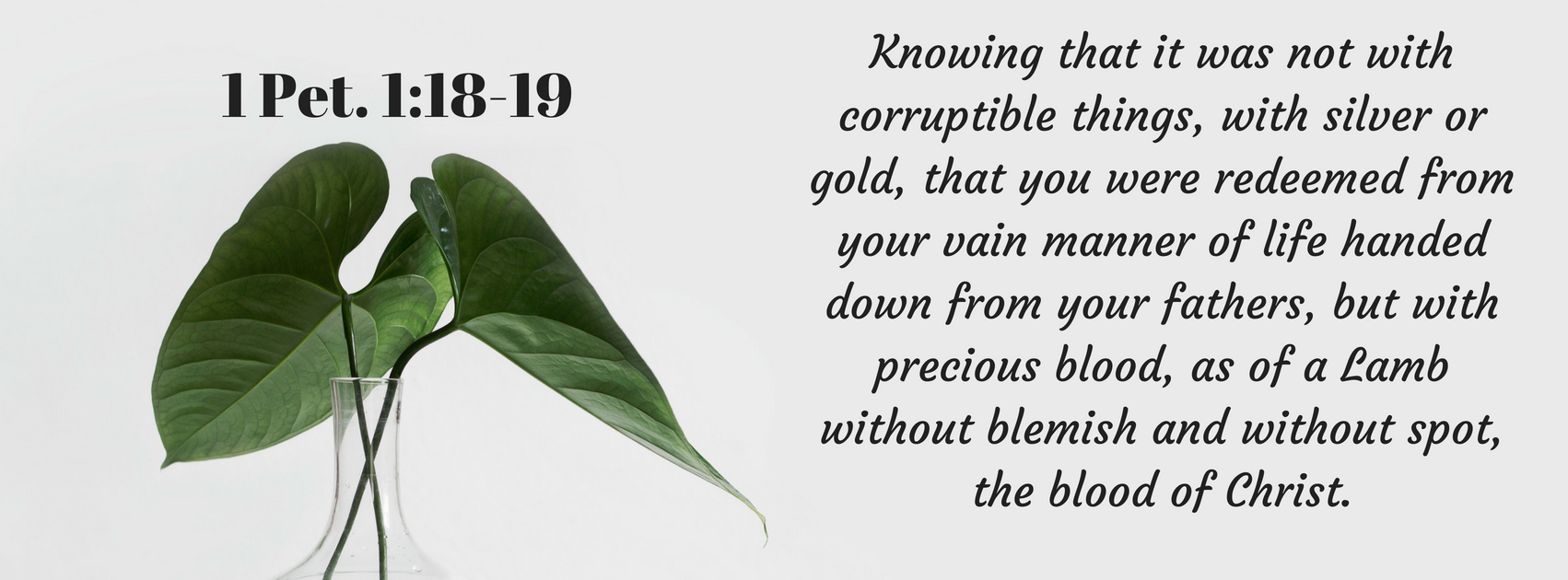 TBR 21- The Blood of Christ