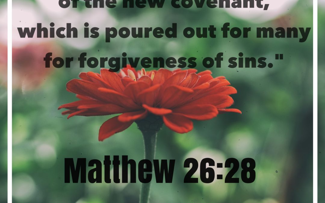 TBR EP16- The Security of the New Covenant