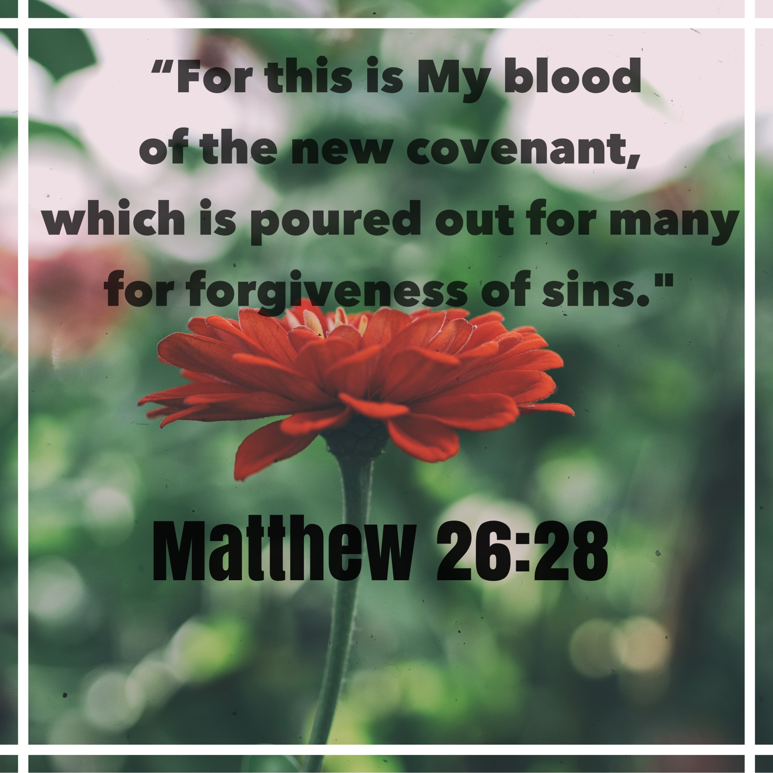 TBR EP16- The Security of the New Covenant