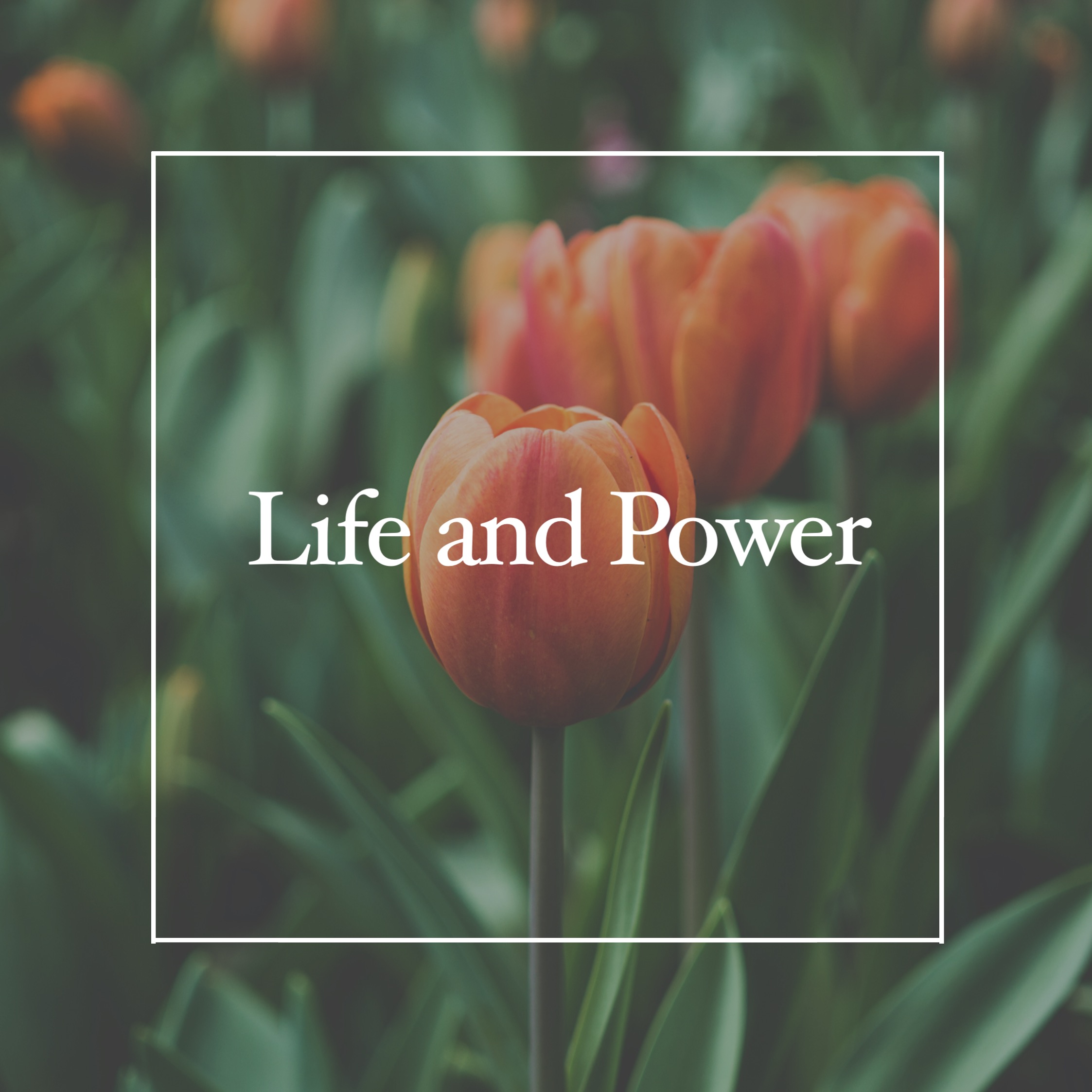 TBR EP18-The Characteristics of the Content of the New Covenant (2)