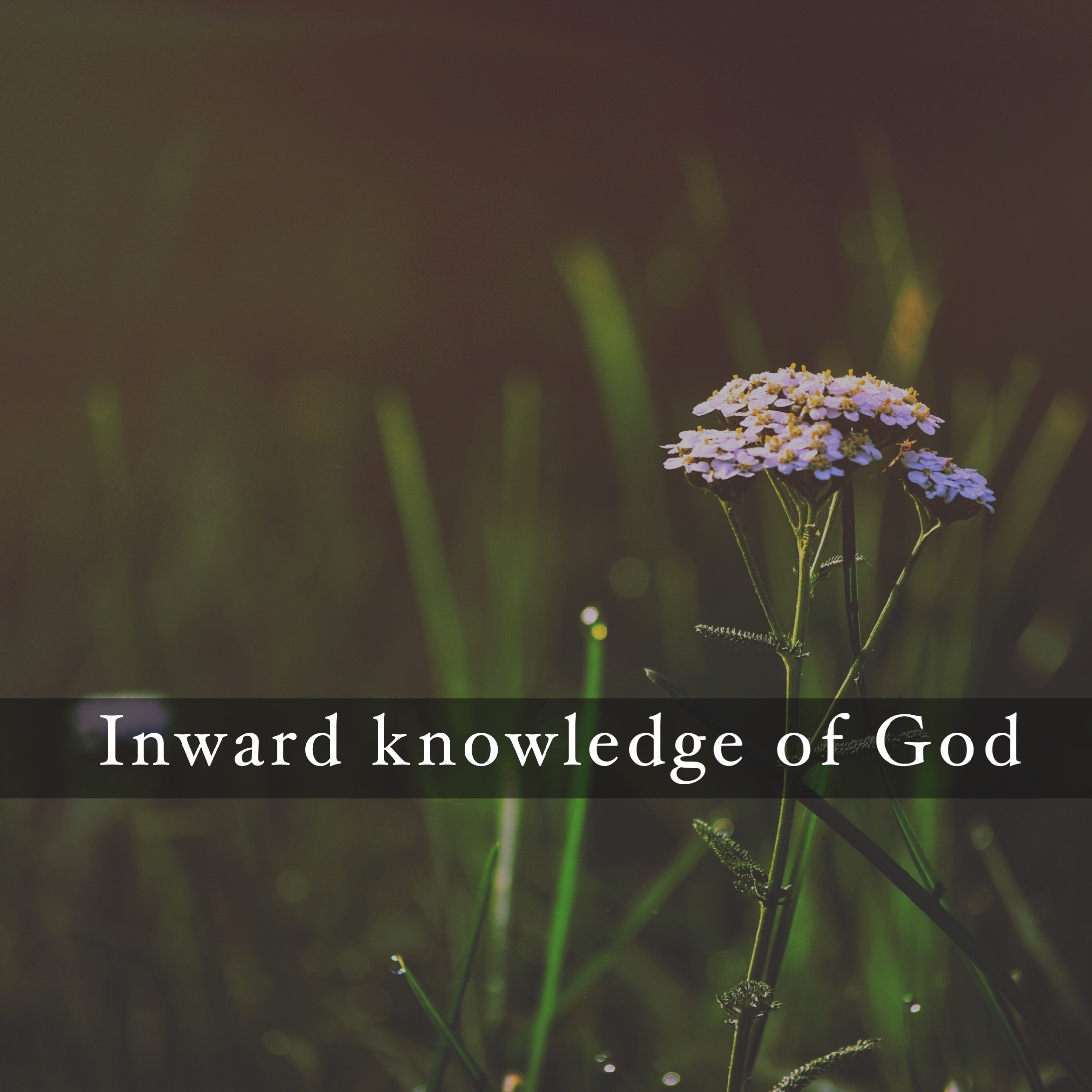 TBR EP19-The Characteristics of the Content of the New Covenant (3)