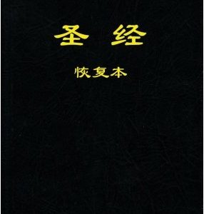 圣经恢复本（含注解平装）（简）