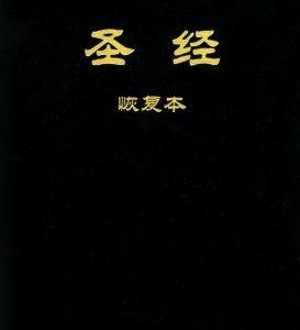 圣经恢复本（经文版平装）（简）