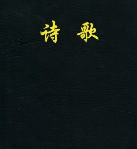 诗歌（32 开）（简）