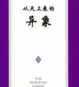 从天上来的异象（简）