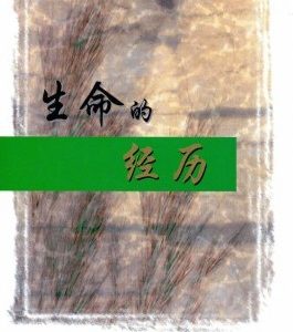 生命的经历（平装）（简）