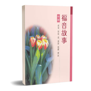福音故事(中)