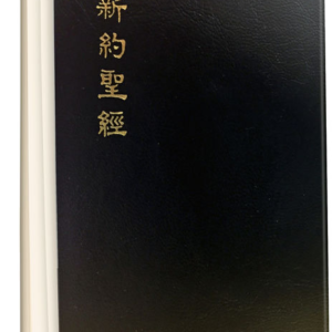 新约圣经恢复本(兩段經文版 64 開)