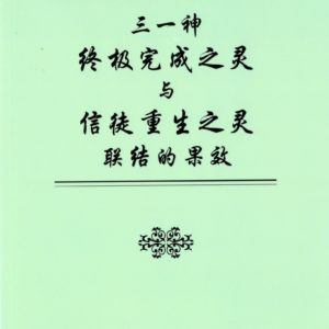三一神终极完成之灵与信徒重生之灵联结的果效（简）