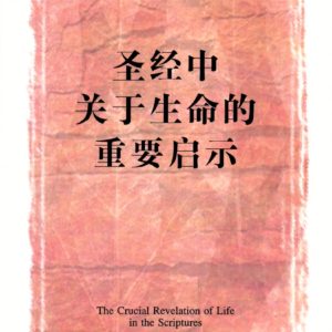 圣经中关于生命的重要启示（简）