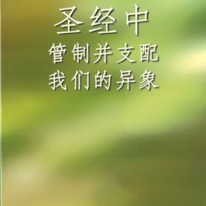 圣经中管制并支配我们的异象（简）