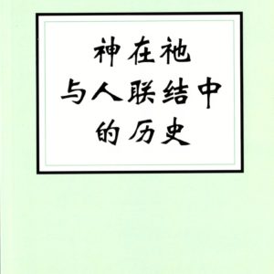神在祂与人联结中的历史（简）