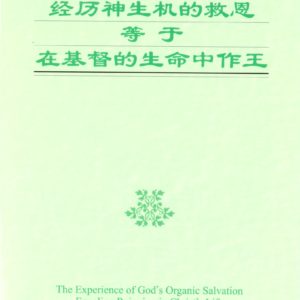 经历神生机的救恩等于在基督的生命中作王（简）