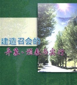 建造召会的异象，预表与实行（简）