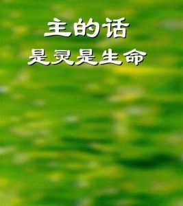 主的话是灵是生命（简）