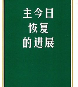 主今日恢复的进展（简）