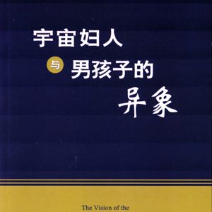 宇宙妇人与男孩子的异象（简）