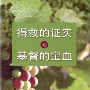 得救的证实与基督的宝血（简）