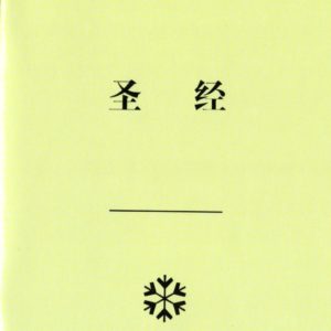 神经纶的福音—圣经（简）