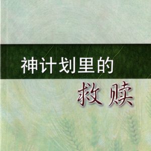 神计划里的救赎（简）
