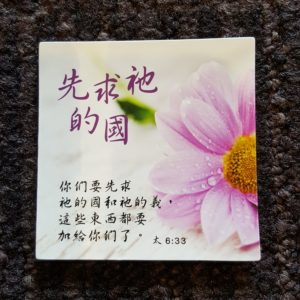Fridge magnet 冰箱磁铁贴