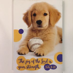 Memo Notepad 小笔记本