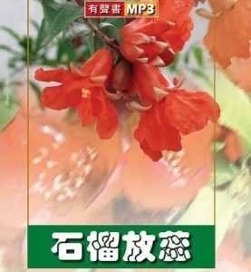 石榴放蕊 (有声书 MP3)