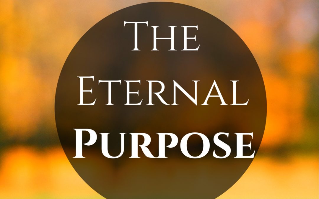 TBR EP27-The Eternal Purpose