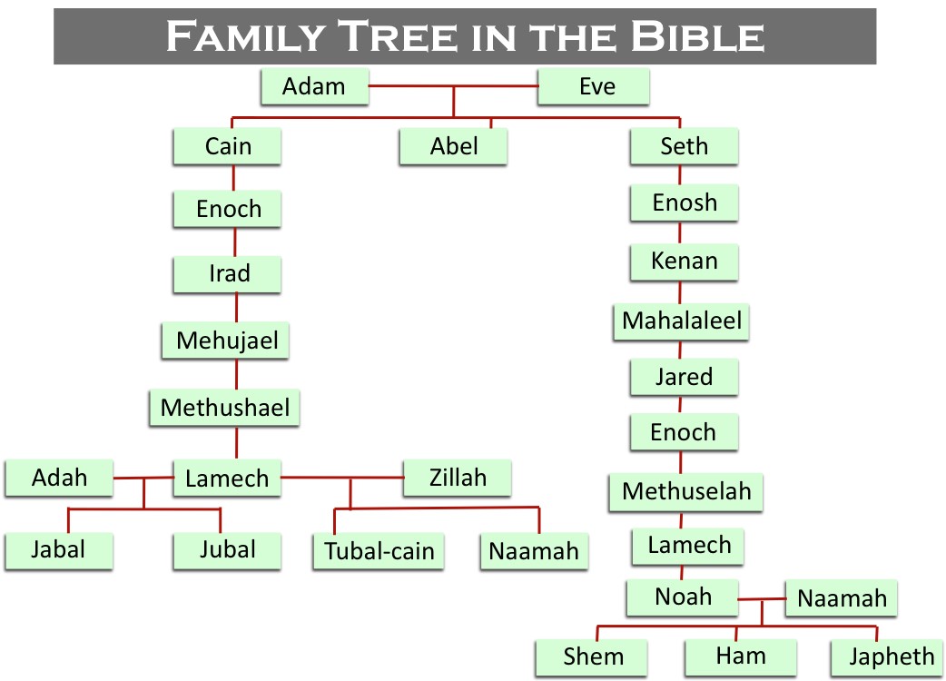 Cain And Abel Family Tree