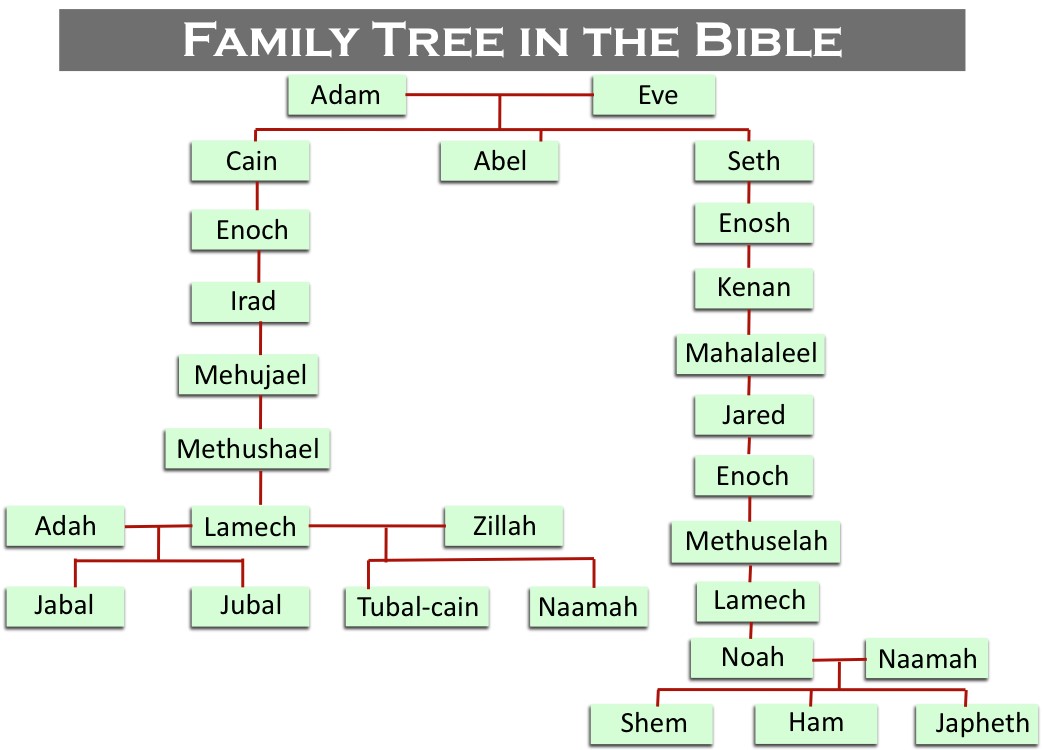 Cain And Abel Family Tree - vrogue.co