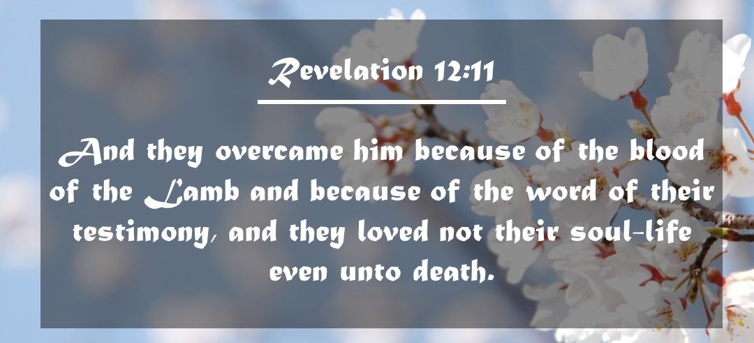 CBC 6 The Glorious Church – 3rd session: Principle of Babylon, Principle of Bride