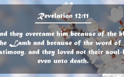 CBC 6 The Glorious Church – 3rd session: Principle of Babylon, Principle of Bride