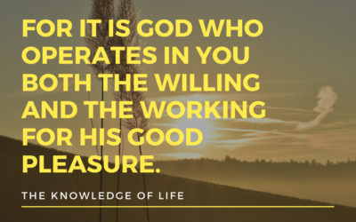 What is Considered An Experience of Life?