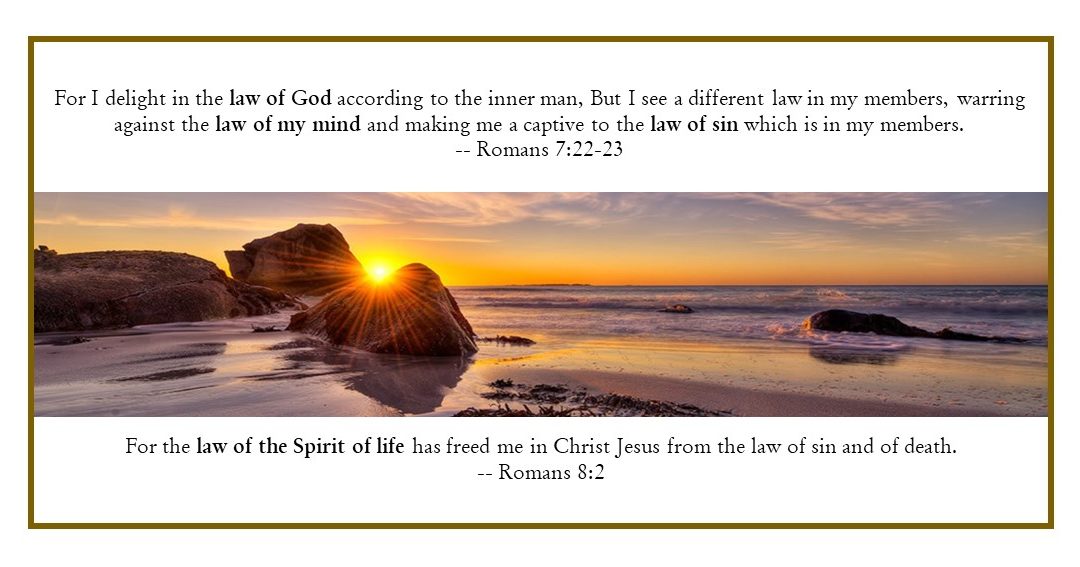 CBC 7 The Knowledge of Life – 4th session: Discerning Soul & Spirit; 3 Lives & 4 Laws