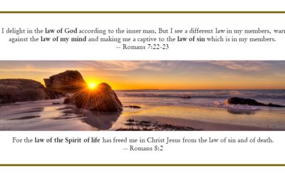 CBC 7 The Knowledge of Life – 4th session: Discerning Soul & Spirit; 3 Lives & 4 Laws