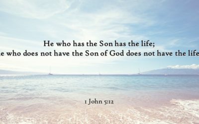 CBC 7 The Knowledge of Life – 8th session (Final session): Light and Life